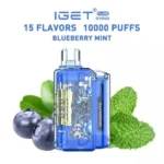 IGET FLARE B10000 – Cranberry Raspberry ice
